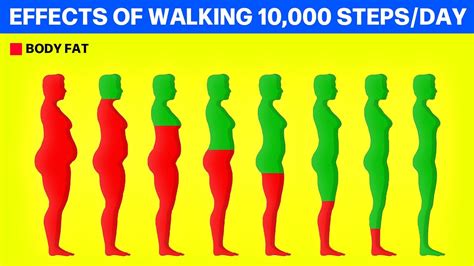 walking 10000 steps a day results|What Happens to Your Body When You Walk 10,000 Steps Per Day .